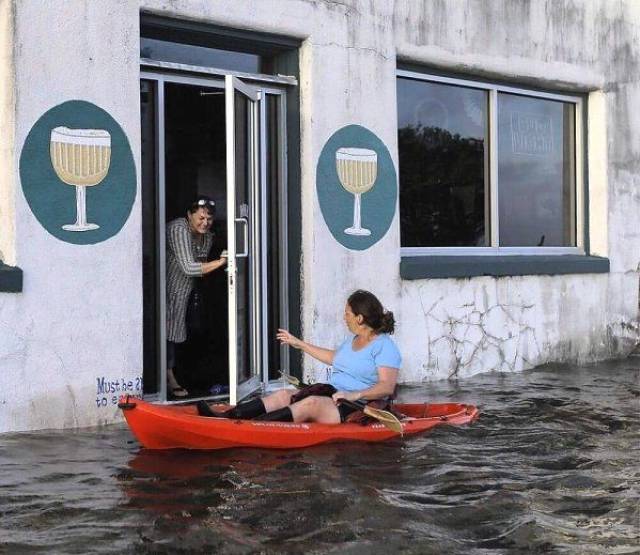 daily picdump weekend edition 73 pics 14.html - 73 HD Photos | Premium Gallery 2017