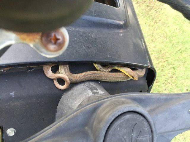 daily picdump weekend edition 73 pics 14.html - 73 HD Photos | Premium Gallery 2017