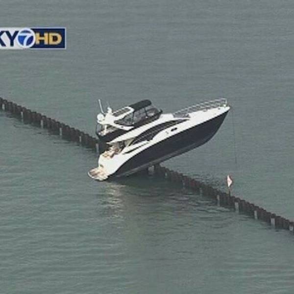 daily picdump weekend edition 73 pics 14.html - 73 HD Photos | Premium Gallery 2017