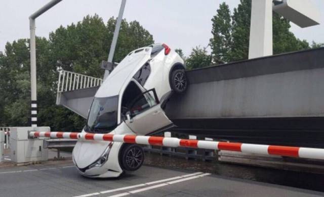 daily picdump weekend edition 73 pics 14.html - 73 HD Photos | Premium Gallery 2017