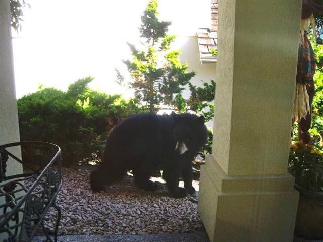 daily picdump weekend edition 73 pics 14.html - 73 HD Photos | Premium Gallery 2017