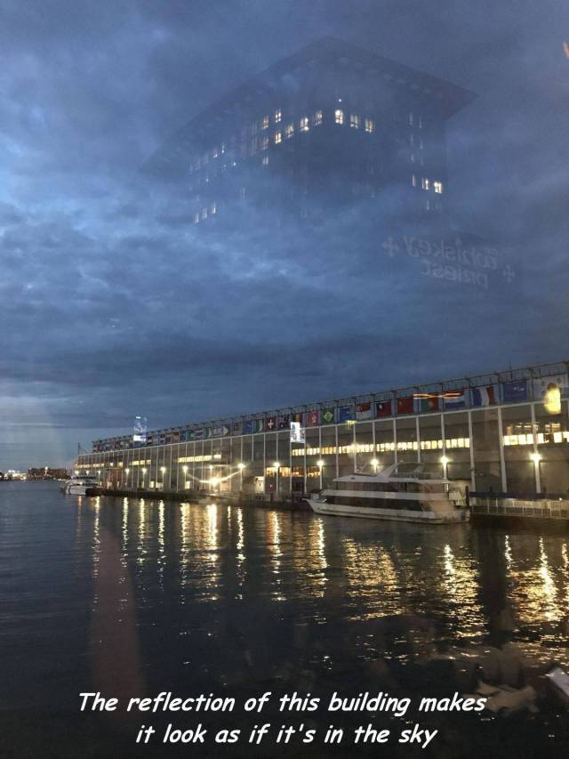 daily picdump weekend edition 73 pics 14.html - 73 HD Photos | Premium Gallery 2017