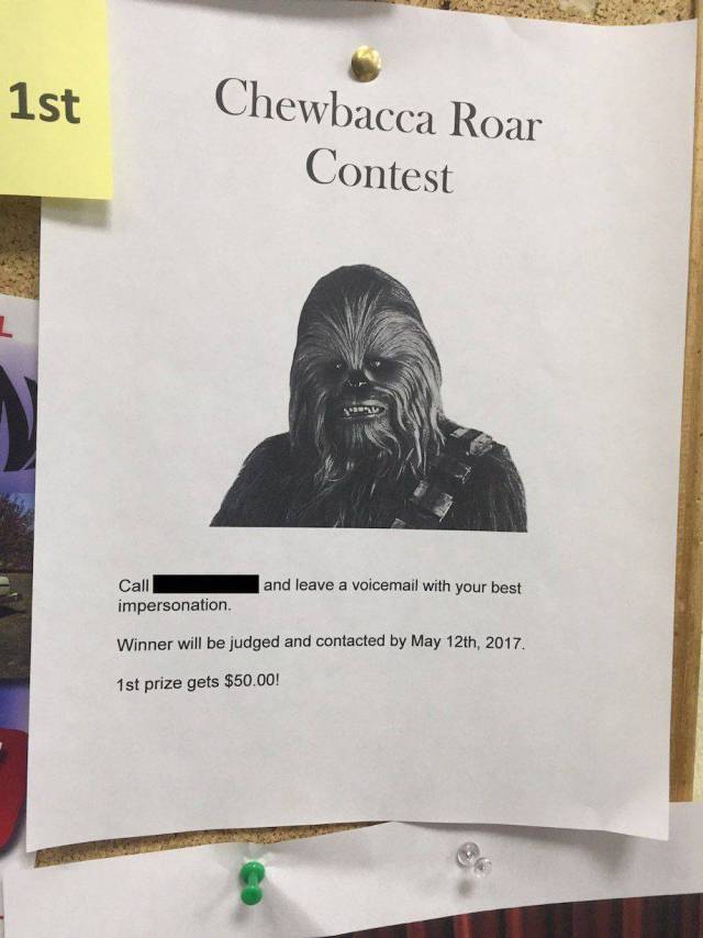 daily picdump weekend edition 73 pics 14.html - 73 HD Photos | Premium Gallery 2017