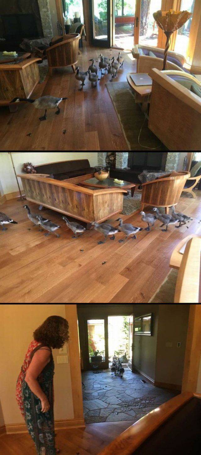 daily picdump weekend edition 73 pics 14.html - 73 HD Photos | Premium Gallery 2017