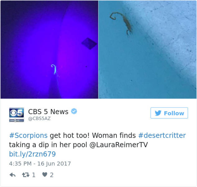 Arizona Is Frying And Melting. Literally