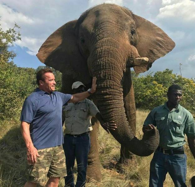 daily picdump 108 pics 42.html - 108 HD Photos | Premium Gallery 2017