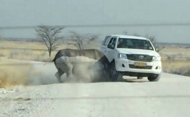 daily picdump 108 pics 42.html - 108 HD Photos | Premium Gallery 2017