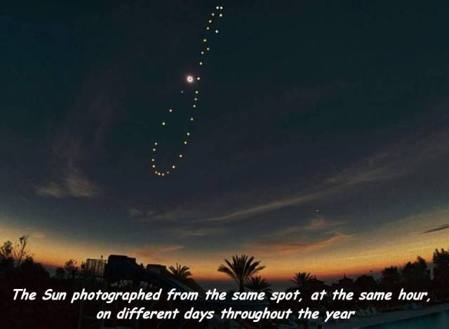 daily picdump 108 pics 42.html - 108 HD Photos | Premium Gallery 2017