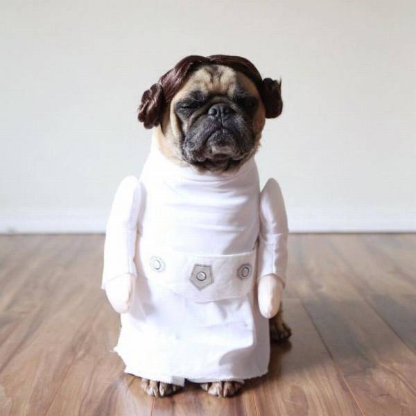 daily picdump 108 pics 42.html - 108 HD Photos | Premium Gallery 2017