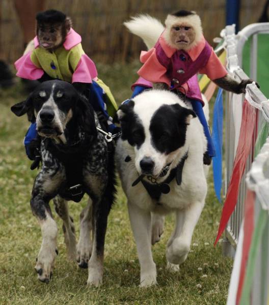 daily picdump 108 pics 42.html - 108 HD Photos | Premium Gallery 2017