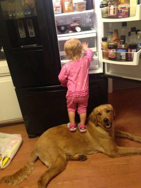 daily picdump 108 pics 42.html - 108 HD Photos | Premium Gallery 2017