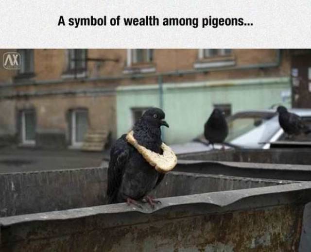 daily picdump 108 pics 42.html - 108 HD Photos | Premium Gallery 2017