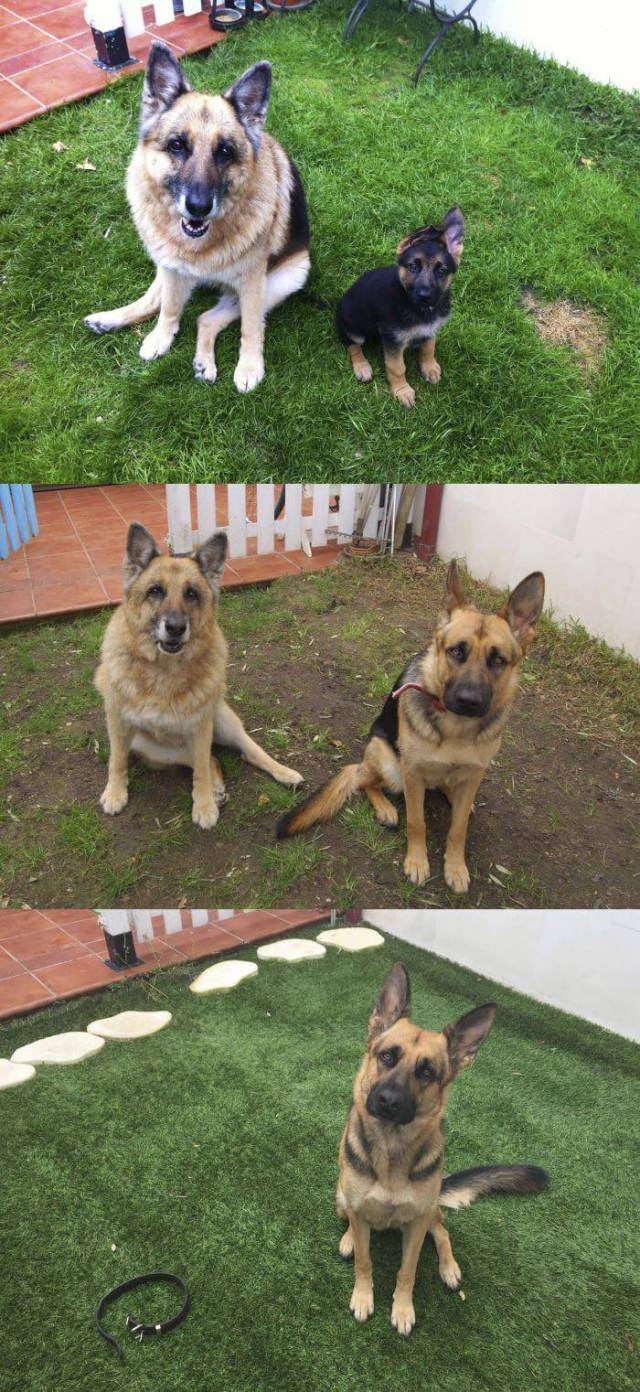 daily picdump 108 pics 42.html - 108 HD Photos | Premium Gallery 2017