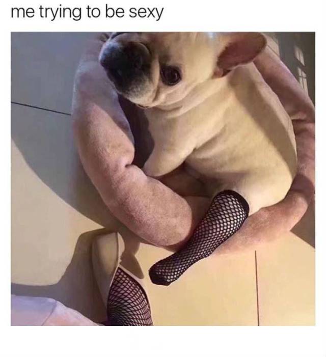 funny picdump 52 pics 9.html - 52 HD Photos | Premium Gallery 2017