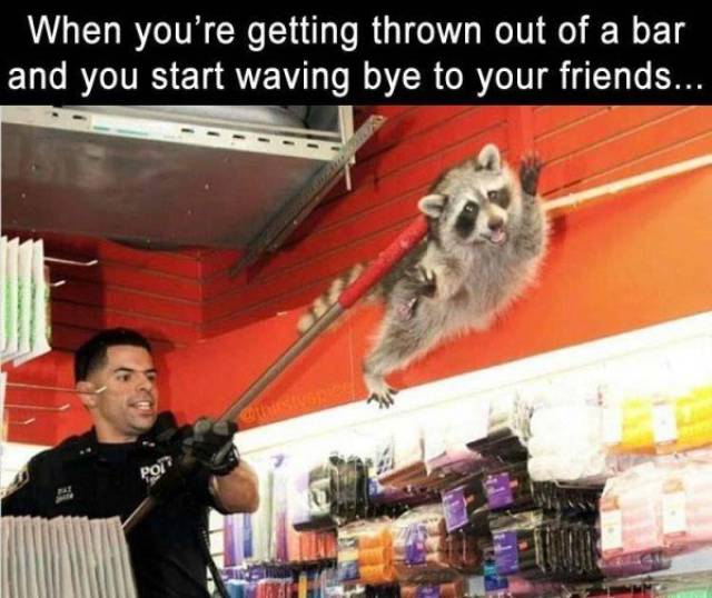 Have You Ever Been So Drunk...?