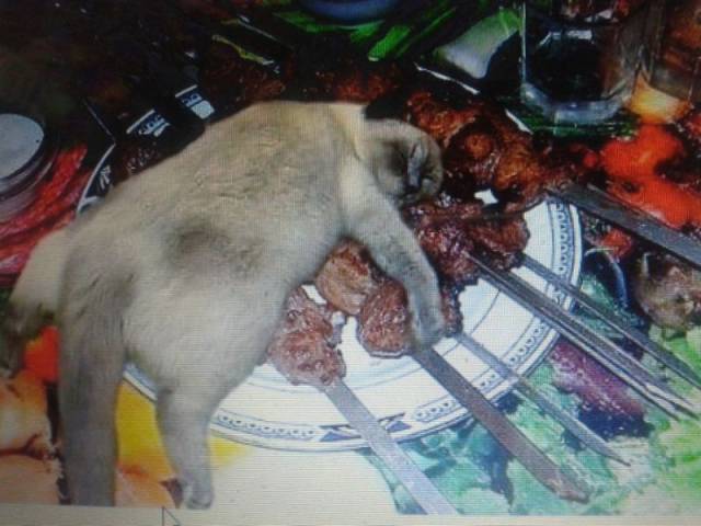 daily picdump 95 pics 33.html - 95 HD Photos | Premium Gallery 2017