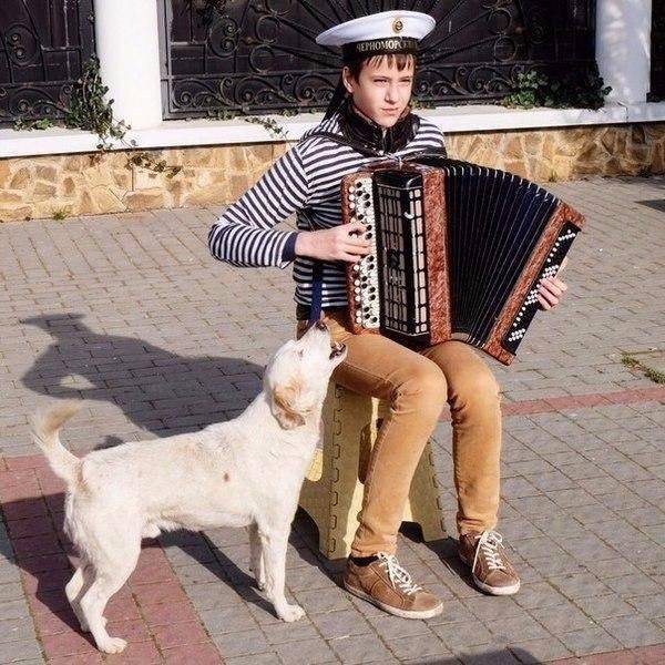 daily picdump 95 pics 33.html - 95 HD Photos | Premium Gallery 2017