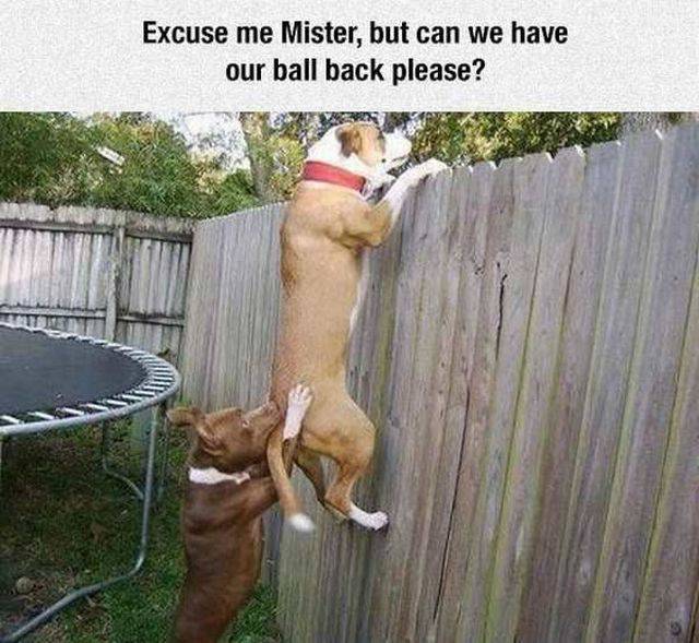 daily picdump 95 pics 33.html - 95 HD Photos | Premium Gallery 2017