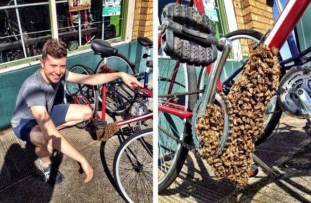 daily picdump 95 pics 33.html - 95 HD Photos | Premium Gallery 2017