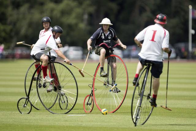 daily picdump 95 pics 33.html - 95 HD Photos | Premium Gallery 2017