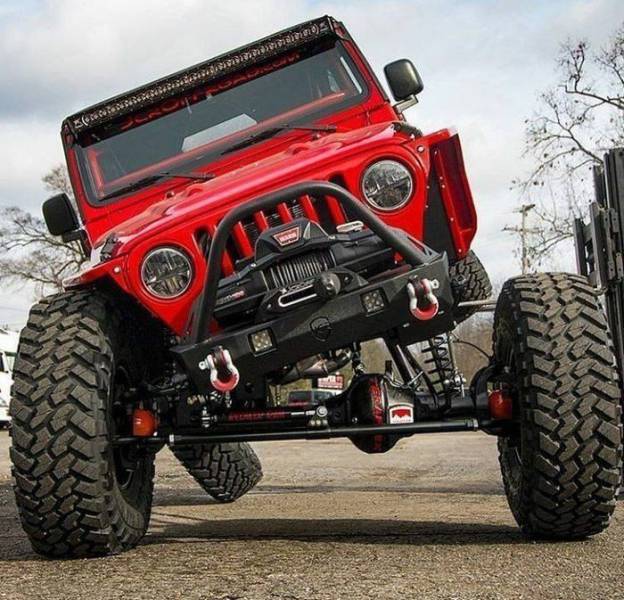 daily picdump 95 pics 33.html - 95 HD Photos | Premium Gallery 2017