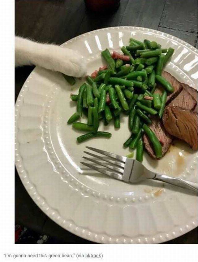 daily picdump 95 pics 33.html - 95 HD Photos | Premium Gallery 2017