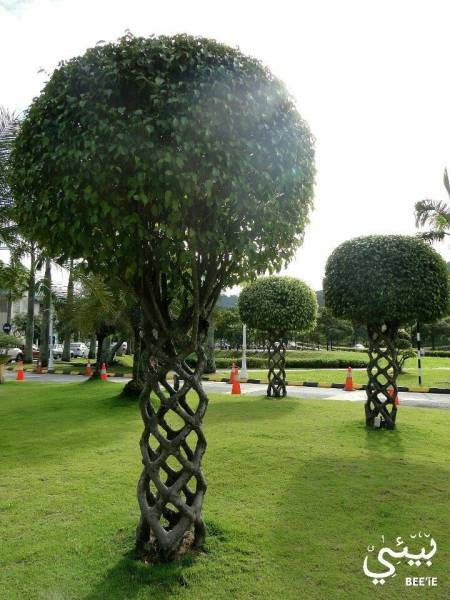 morning picdump 51 pics 25.html - 51 HD Photos | Premium Gallery 2017