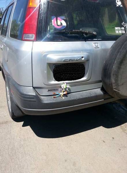 morning picdump 53 pics 21.html - 53 HD Photos | Premium Gallery 2017