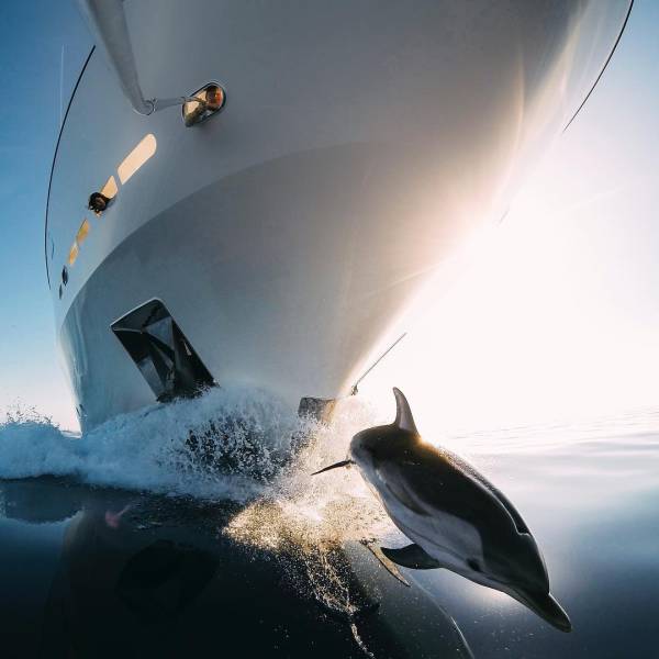 morning picdump 53 pics 21.html - 53 HD Photos | Premium Gallery 2017