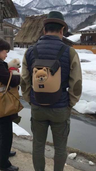 morning picdump 53 pics 21.html - 53 HD Photos | Premium Gallery 2017