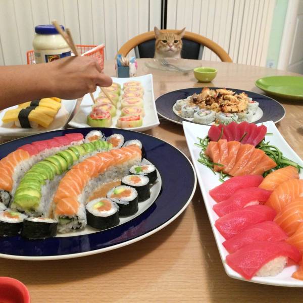 morning picdump 51 pics 3.html - 51 HD Photos | Premium Gallery 2017