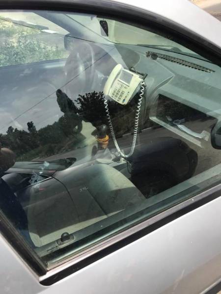 morning picdump 51 pics 3.html - 51 HD Photos | Premium Gallery 2017