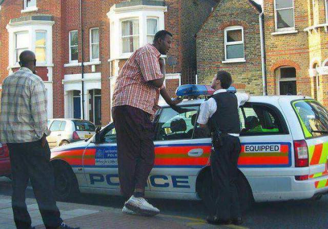 daily picdump 96 pics 9.html - 96 HD Photos | Premium Gallery 2017