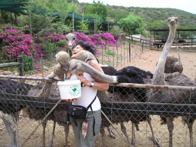 daily picdump 96 pics 9.html - 96 HD Photos | Premium Gallery 2017