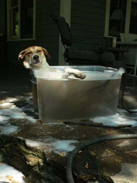 daily picdump 96 pics 9.html - 96 HD Photos | Premium Gallery 2017