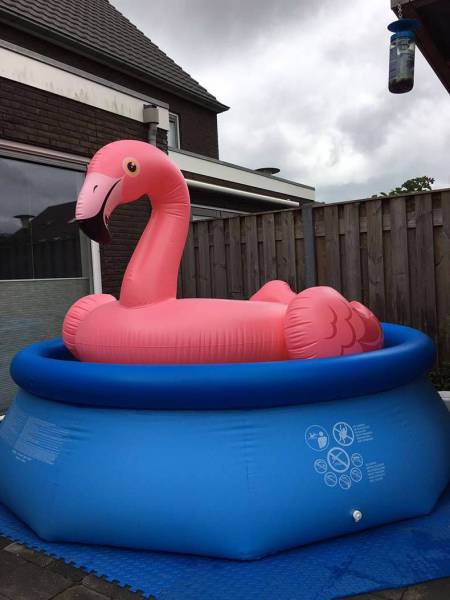 daily picdump 96 pics 9.html - 96 HD Photos | Premium Gallery 2017