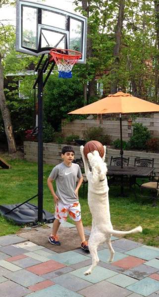 daily picdump 96 pics 9.html - 96 HD Photos | Premium Gallery 2017