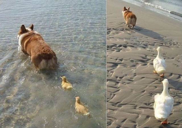 daily picdump 96 pics 9.html - 96 HD Photos | Premium Gallery 2017