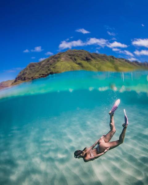 grownup corner 57 pics 12 gifs 35.html - 57 HD GIF | Premium Gallery 2017