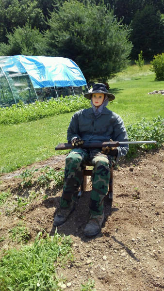 morning picdump 52 pics 8.html - 52 HD Photos | Premium Gallery 2017