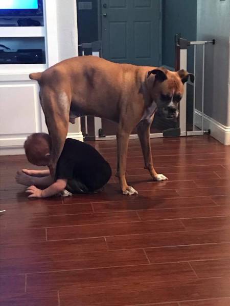 morning picdump 52 pics 8.html - 52 HD Photos | Premium Gallery 2017