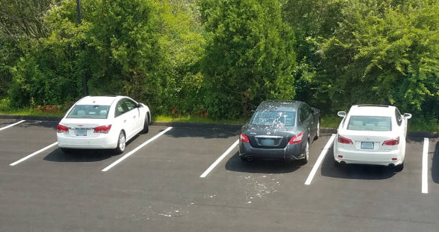 Daily Picdump [WEEKEND EDITION]