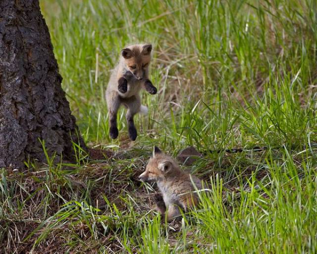 Daily Picdump [WEEKEND EDITION]