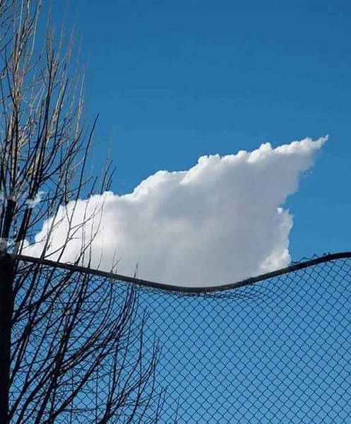 Daily Picdump [WEEKEND EDITION]