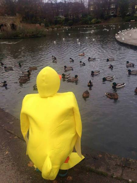 Daily Picdump [WEEKEND EDITION]