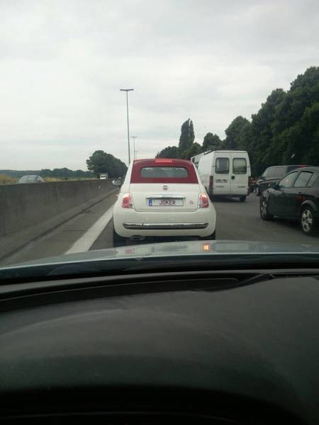 Daily Picdump [WEEKEND EDITION]