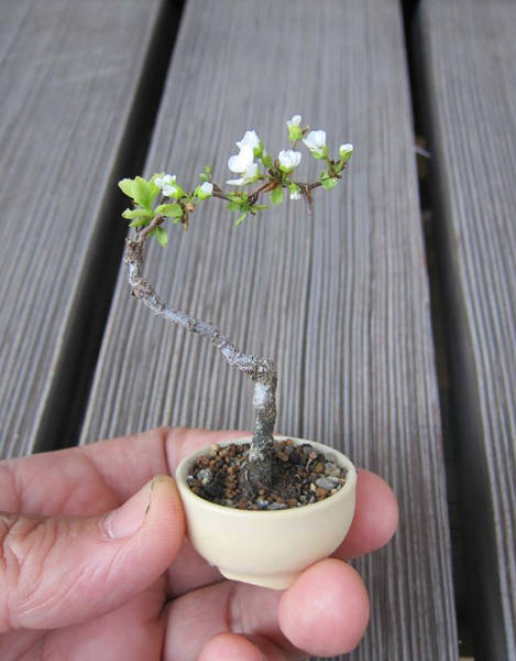 daily picdump weekend edition 54 pics 4.html - 54 HD Photos | Premium Gallery 2017