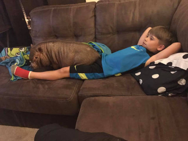 daily picdump weekend edition 54 pics 4.html - 54 HD Photos | Premium Gallery 2017