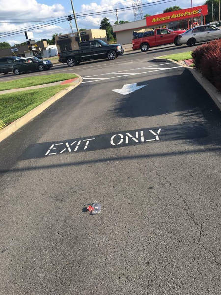 daily picdump weekend edition 54 pics 4.html - 54 HD Photos | Premium Gallery 2017