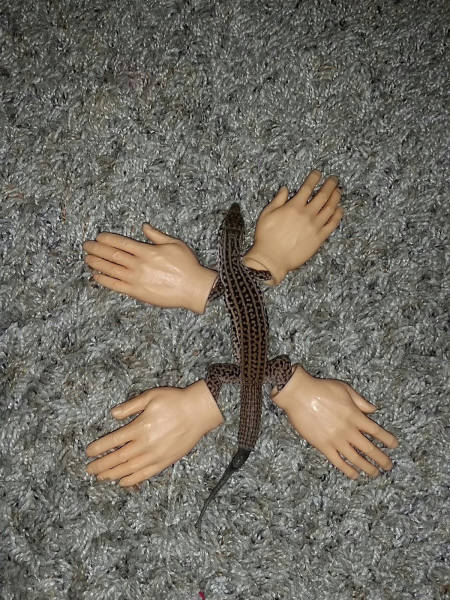 daily picdump weekend edition 54 pics 4.html - 54 HD Photos | Premium Gallery 2017